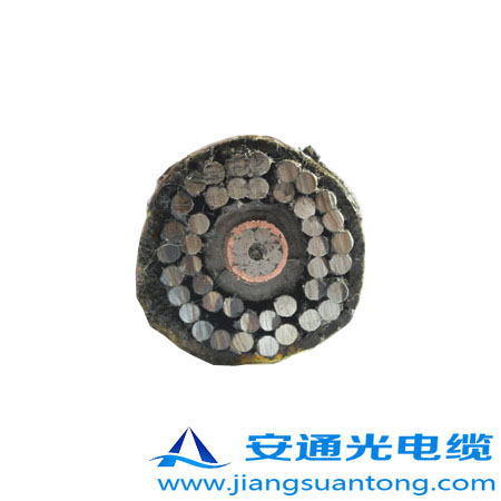 GYTA53-333|,OPPC|SADSS|r24оOPGW|